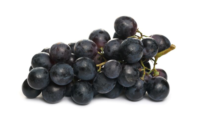 grapes black muscat muscat hamburg